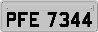 PFE7344