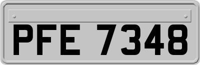 PFE7348