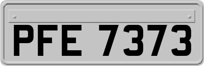 PFE7373