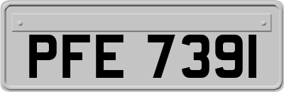 PFE7391