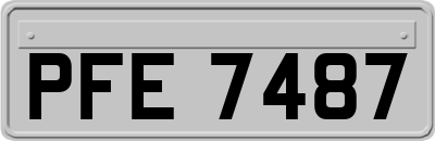 PFE7487