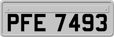 PFE7493