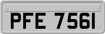 PFE7561