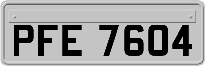 PFE7604