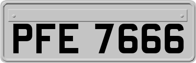 PFE7666
