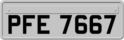 PFE7667