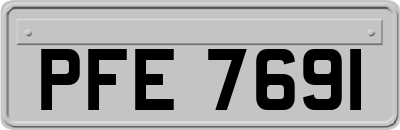 PFE7691