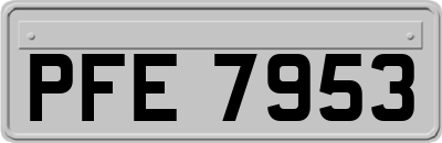 PFE7953