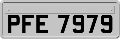 PFE7979