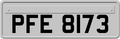 PFE8173