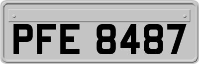 PFE8487
