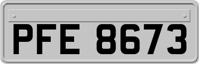 PFE8673