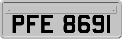 PFE8691