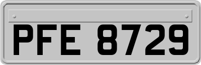 PFE8729