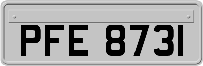 PFE8731