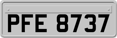 PFE8737
