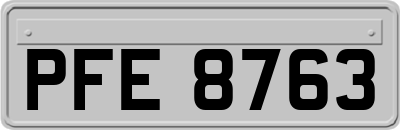 PFE8763