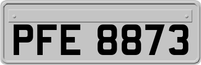 PFE8873
