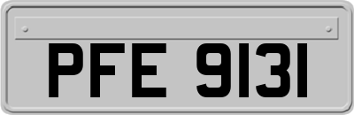 PFE9131