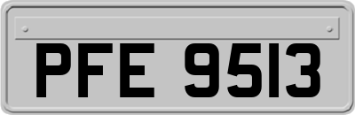 PFE9513
