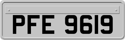PFE9619