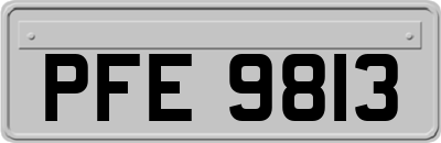 PFE9813