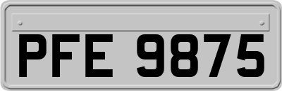 PFE9875