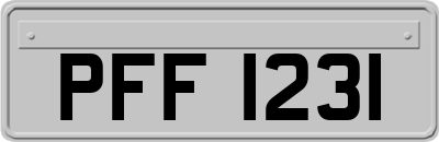 PFF1231