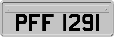 PFF1291