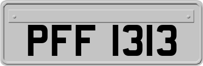 PFF1313