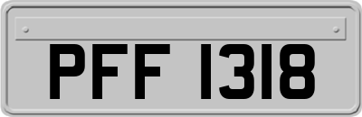 PFF1318