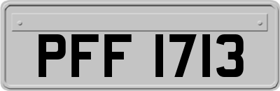 PFF1713