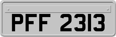 PFF2313