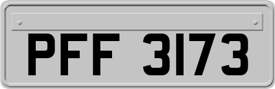 PFF3173