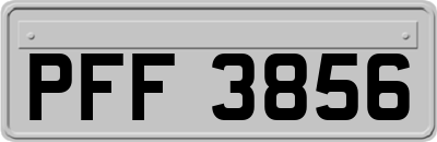 PFF3856