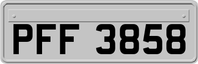 PFF3858