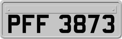 PFF3873