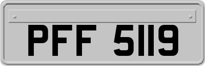 PFF5119