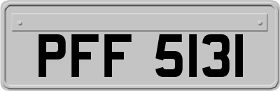 PFF5131