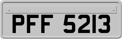 PFF5213