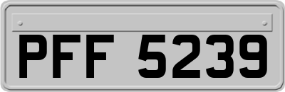 PFF5239