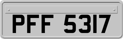 PFF5317