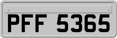 PFF5365