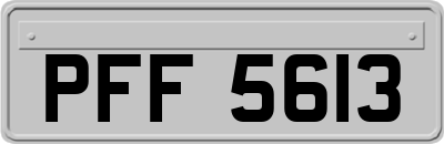 PFF5613