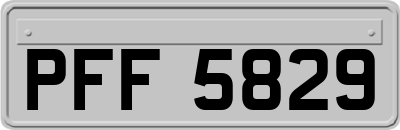 PFF5829