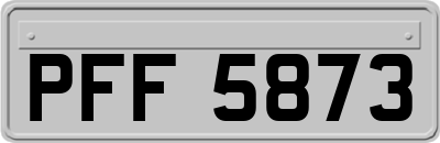 PFF5873