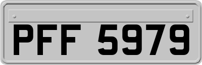 PFF5979