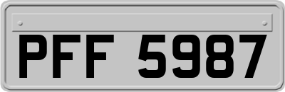 PFF5987