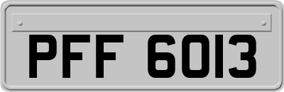 PFF6013