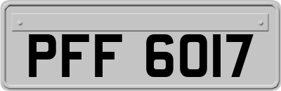 PFF6017